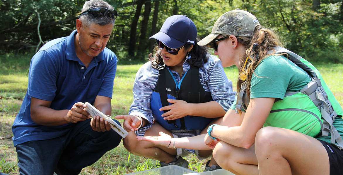 SVS: Autumn Around the Chesapeake Bay