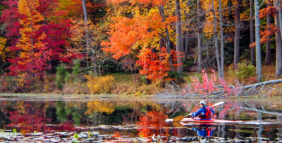 SVS: Autumn Around the Chesapeake Bay