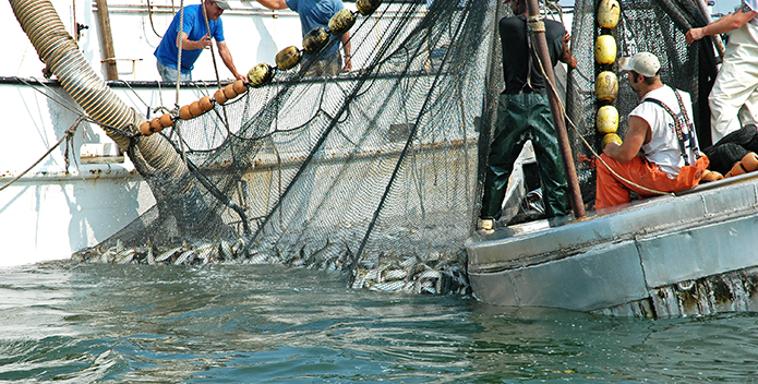 Fisheries - Chesapeake Bay Foundation