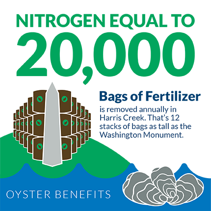 Nitrogen equal to 20,000 bags of fertilizer is removed annually in Harris Creek. That's 12 stacks of bags as tall as the Washington Monument. Graphic credit: copyright Chesapeake Bay Foundation