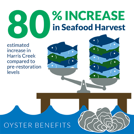 An 80 percent increase in seafood harvest is estimated in Harris Creek compared to pre-oyster-restoration levels.  Graphic credit: copyright Chesapeake Bay Foundation