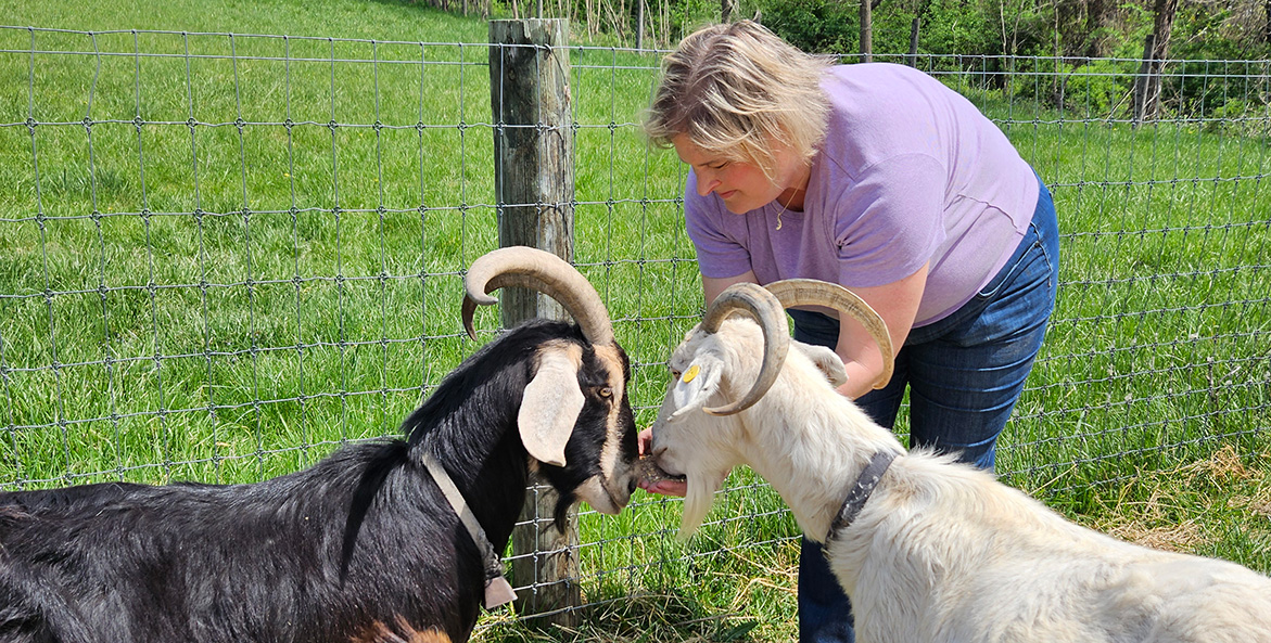 A woman holds feed in her cupped hands while two goats eat from it.