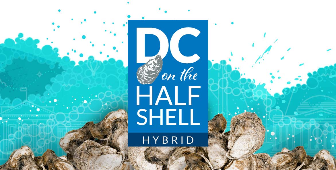 22 DC on the Half Shell Hybrid 1171x593