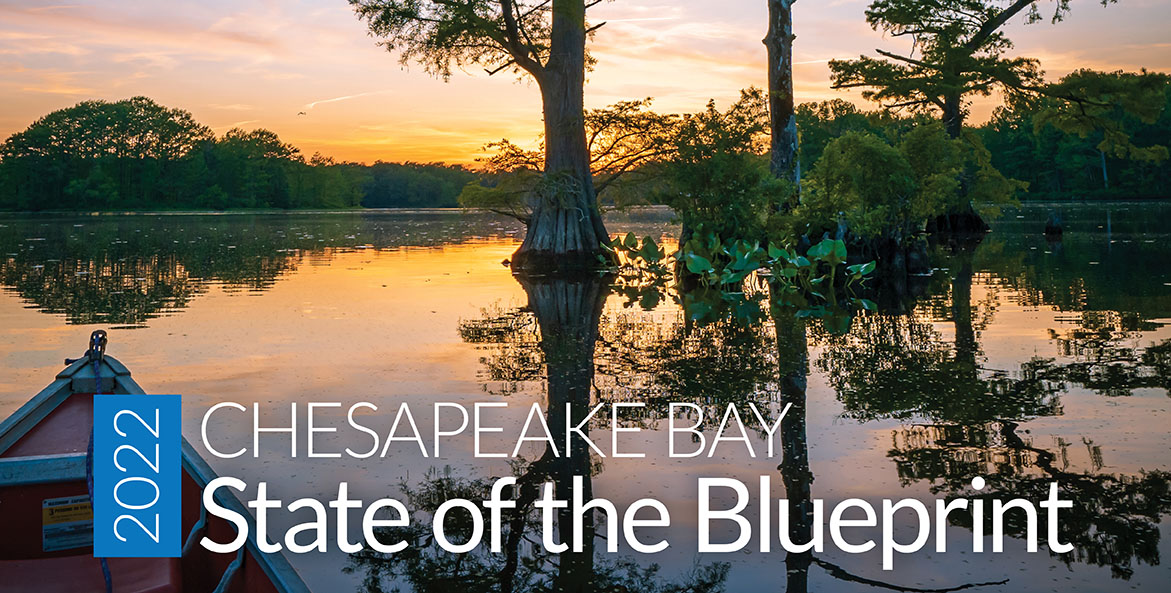 Cypress trees and the bow of a canoe can be seen on serene river.