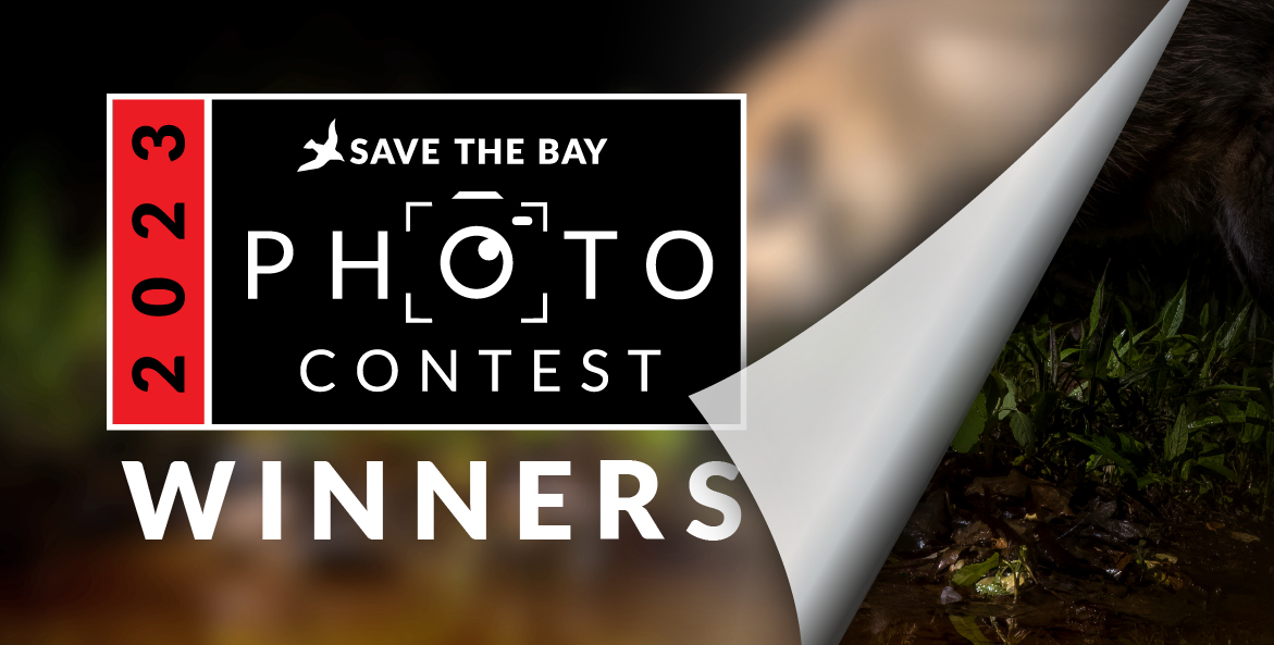 23 Photo Contest Winners Hero 1171x593