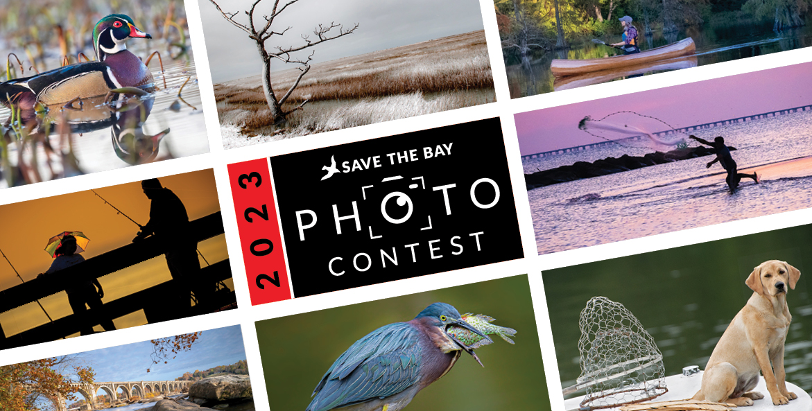A grid shows photos from past contests.