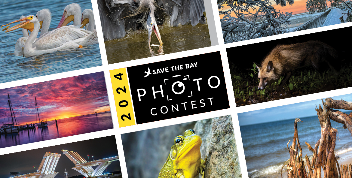2024 Save the Bay Photo Contest - Contest Open. A grid shows photos from past contests.