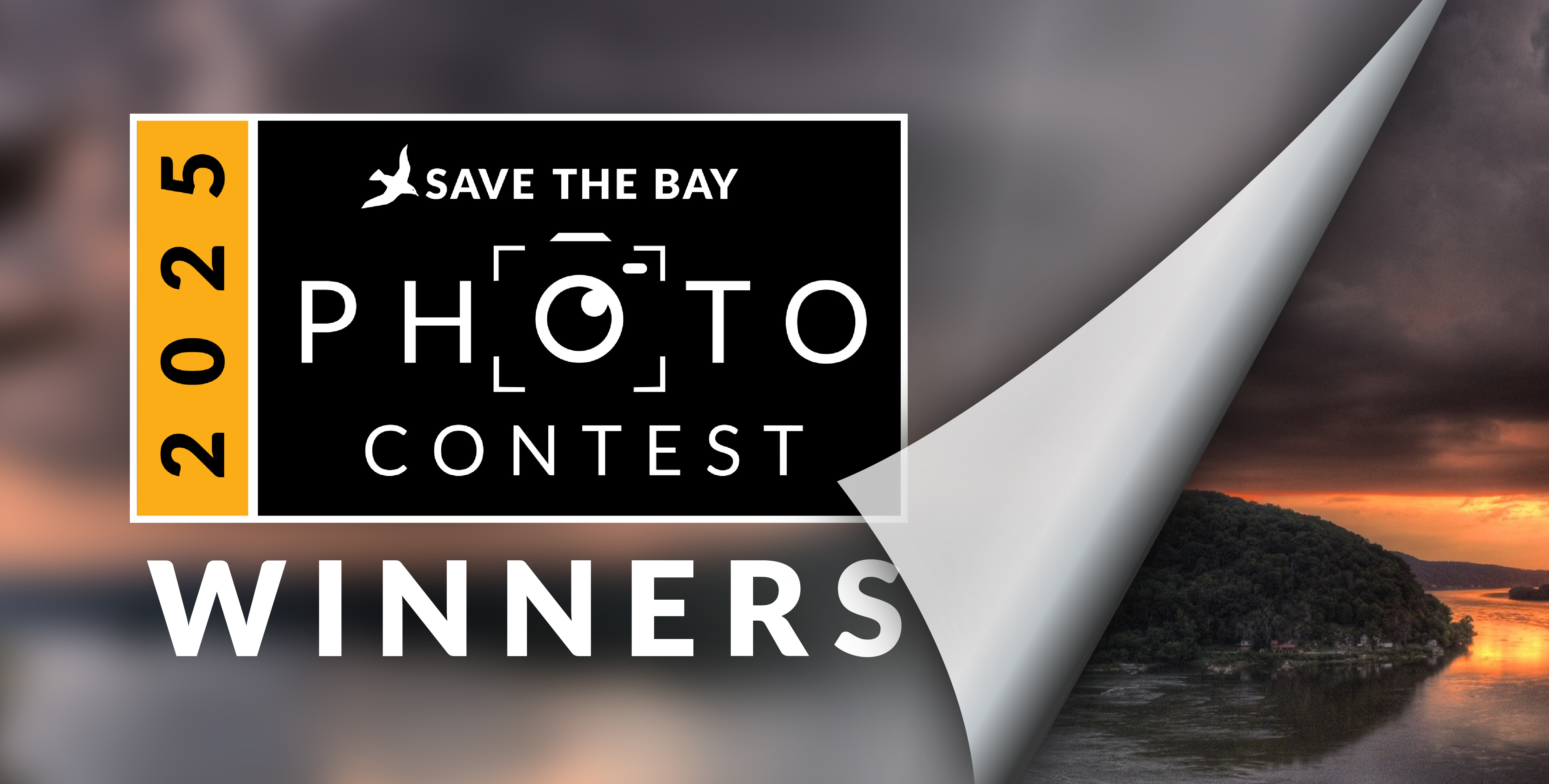 Blurred image with text 2025 Save the Bay Photo Contest Winners.