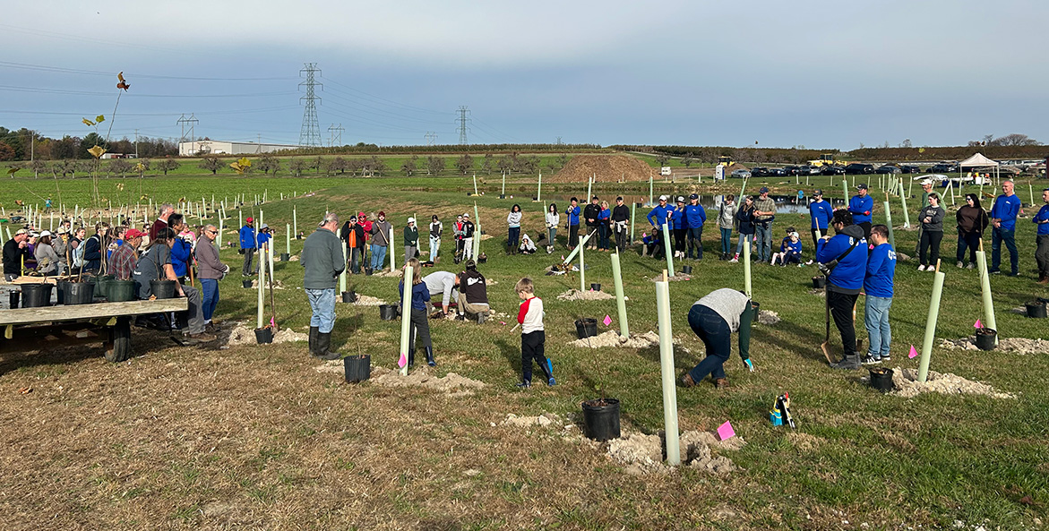 Across a large field potted trees sit next to prepared holes containing protective tree sleeves, as dozens of people watch the proper way to plant a tree.