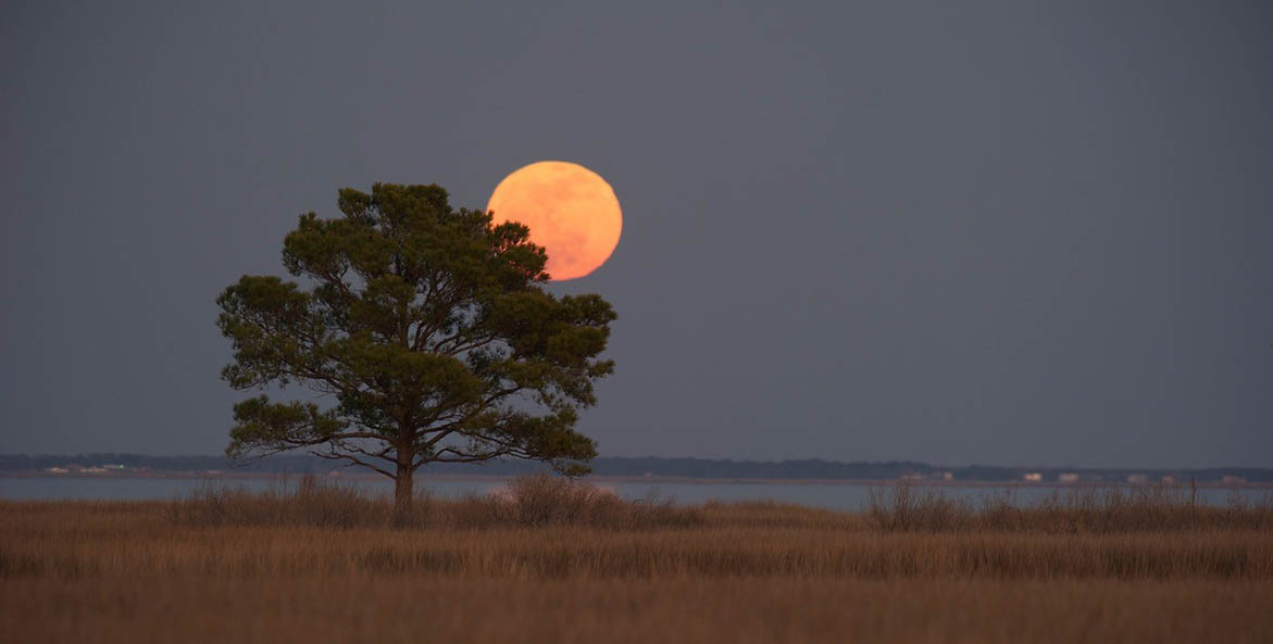 Bill-Portlock_moonrise_1171x593.jpg