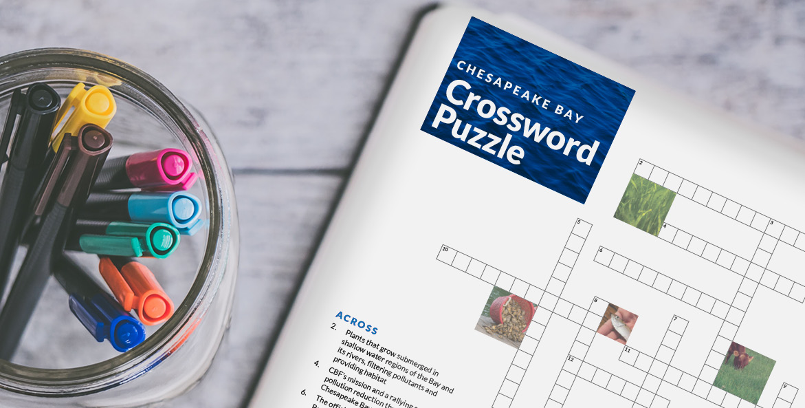 Chesapeake Bay Crossword Puzzle