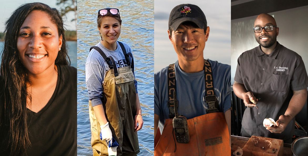 Collage of photos featuring Imani Black, Jennifer Sagan, Scott Budden, and Gardner Douglas. All have unique specialties in the oyster industry and are members of the Chesapeake Oyster Alliance.