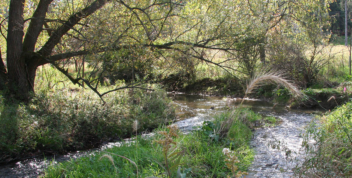 Halfmoon Creek on John Pascavage's property in Centre County, Pennsylvania.