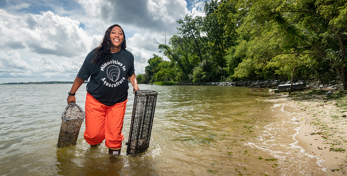 Woman in a black shirt and orange waders carrying two oyster cages.