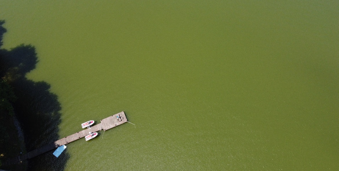 Boat dock viewed from above in green water.