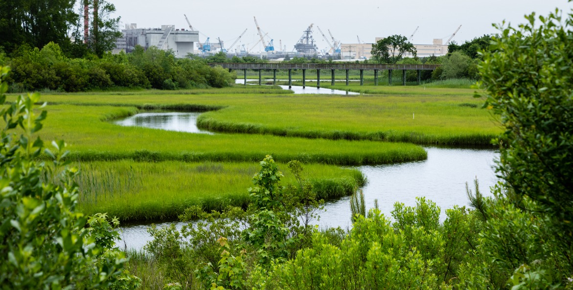 Green marsh grass with a creek running through it and industrial buildings in the background.