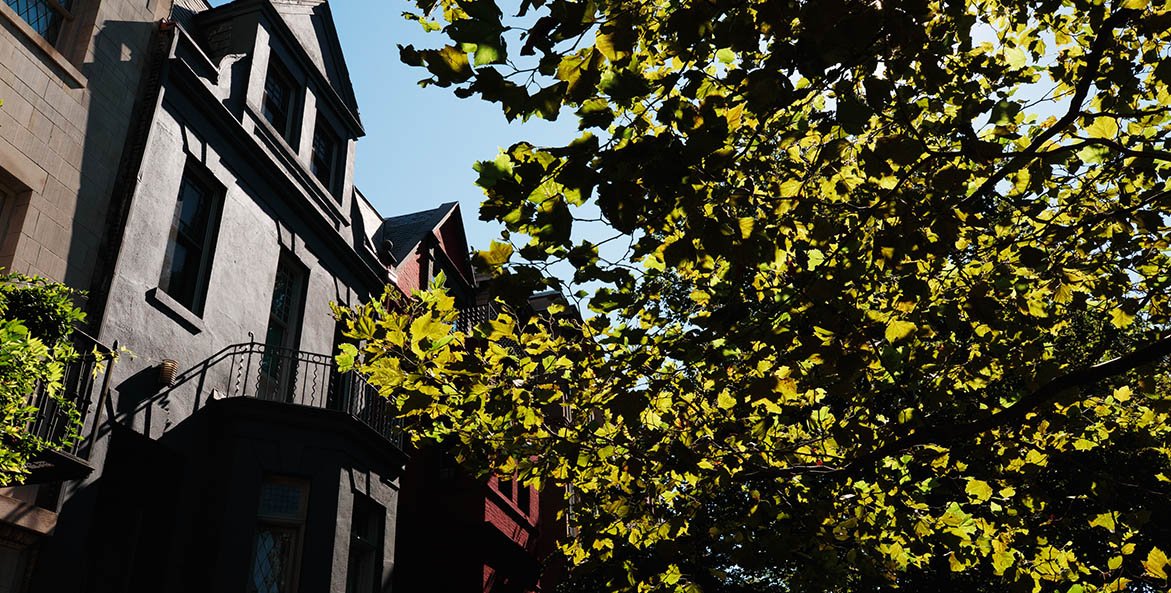 Urban-Tree-Canopy-Q-Street-DC_Carlin-Stieh-CBP_1171x593