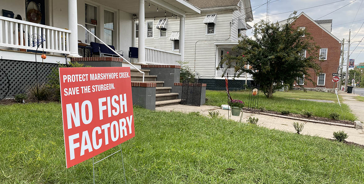 A No Fish Factory sign posted on a lawn outside a house.