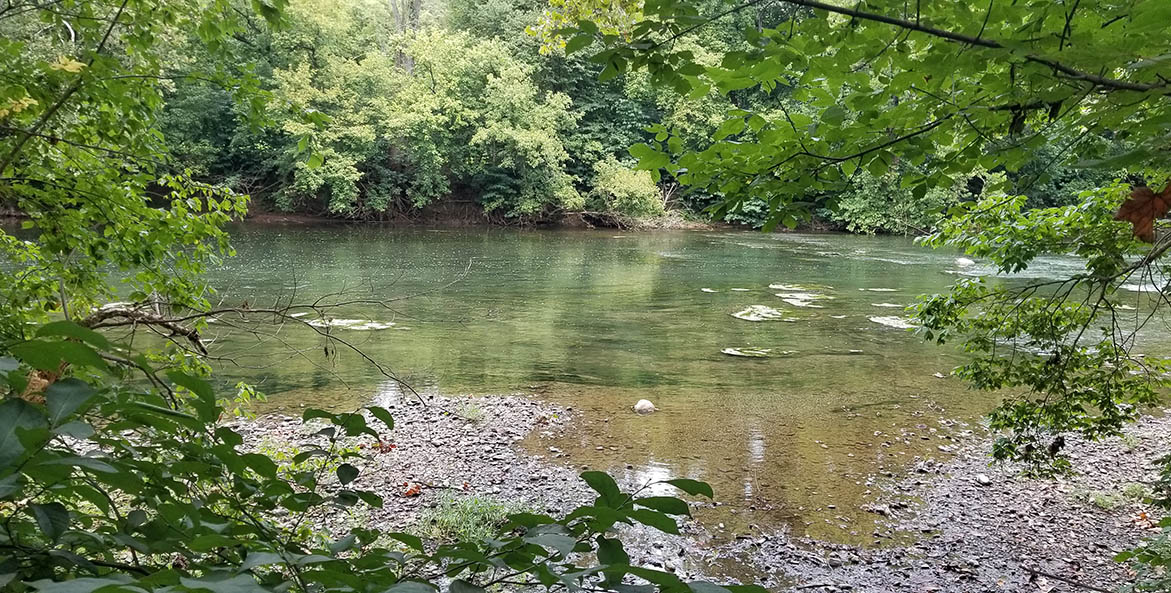 algal-bloom-Shenandoah-North-Fork_Matt-Kowalski_1171x593