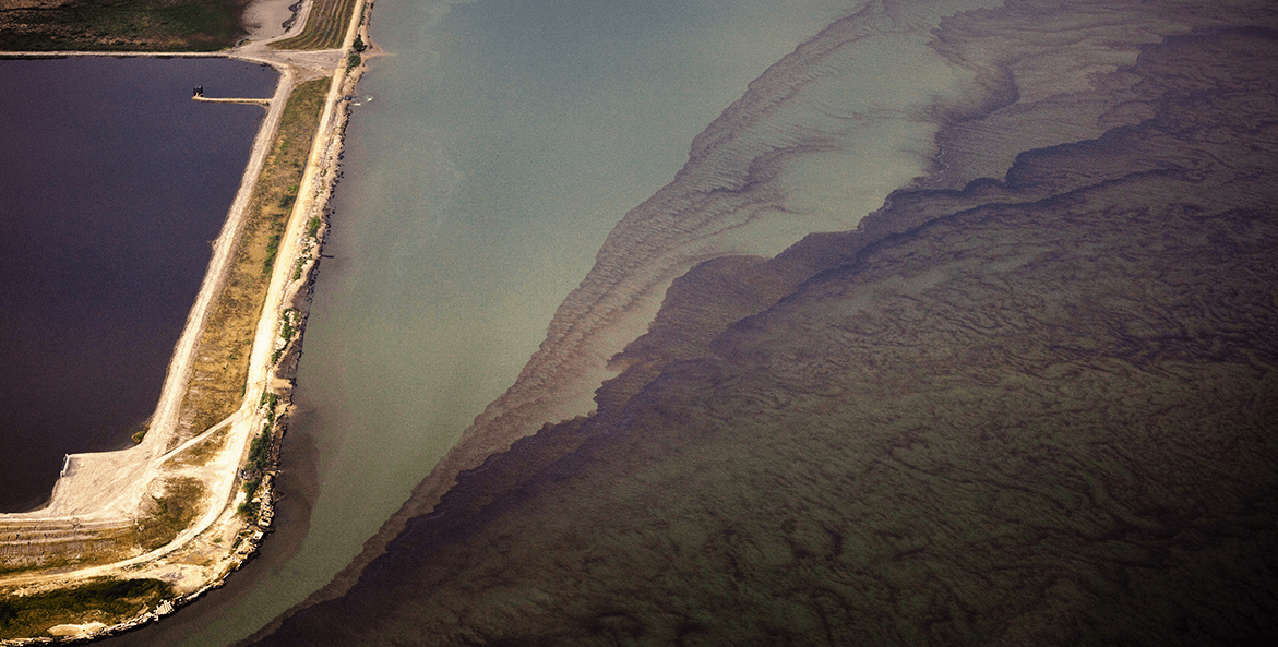 Algal blooms in the lower Chesapeake Bay