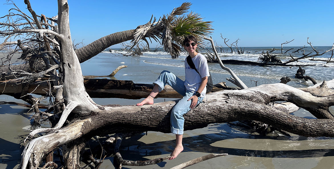 Woman sitting on a collapsed tree on a beach by the ocean