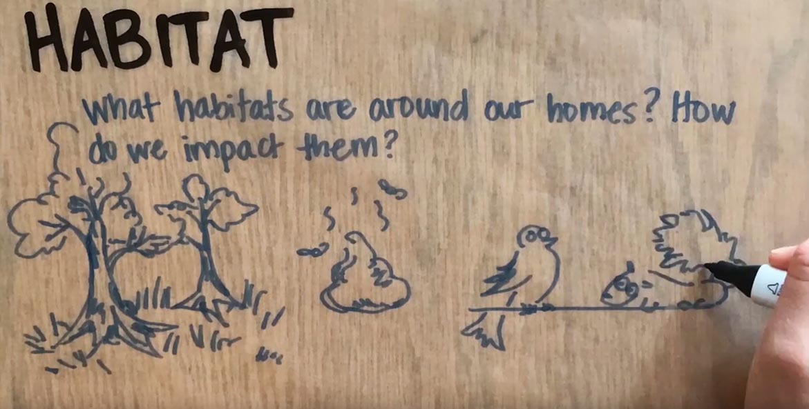 A hand draws information about habitat, including trees, poop, a bird, and a squirrel.