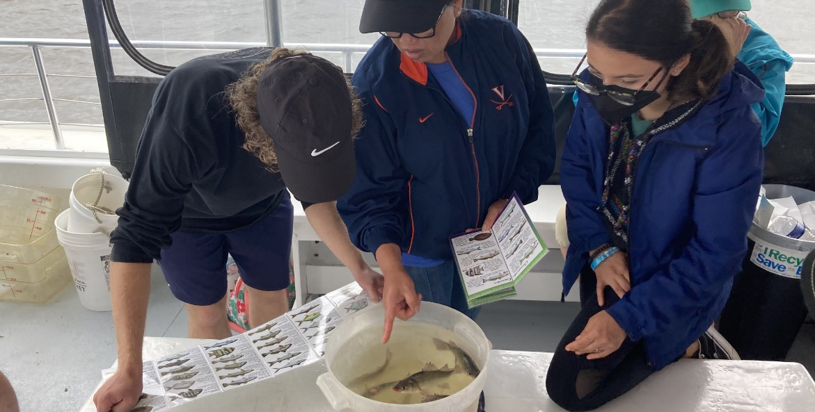 Three teachers comparing fish in a bucket to an identification book.