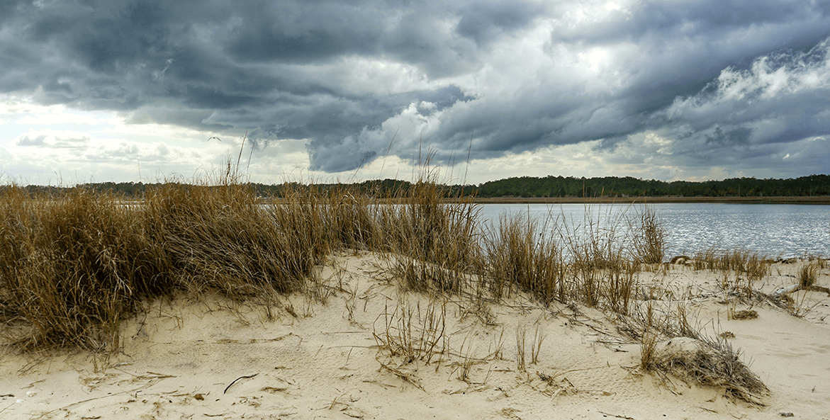 bethel beach-bob diller-1171x593