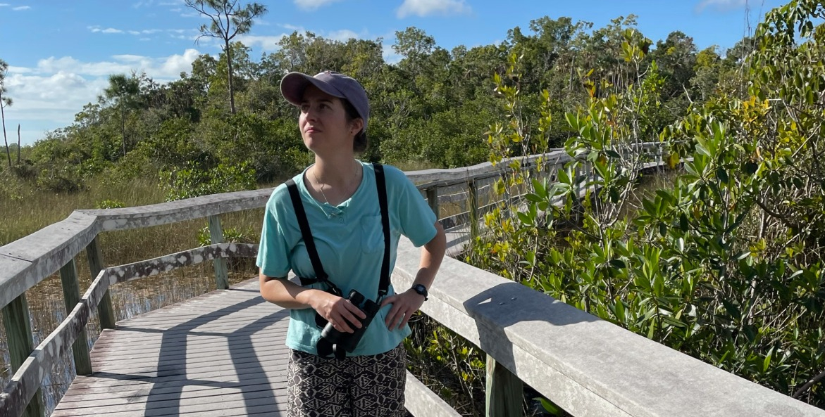 Woman with binoculars walking a boardwalk among bushes.