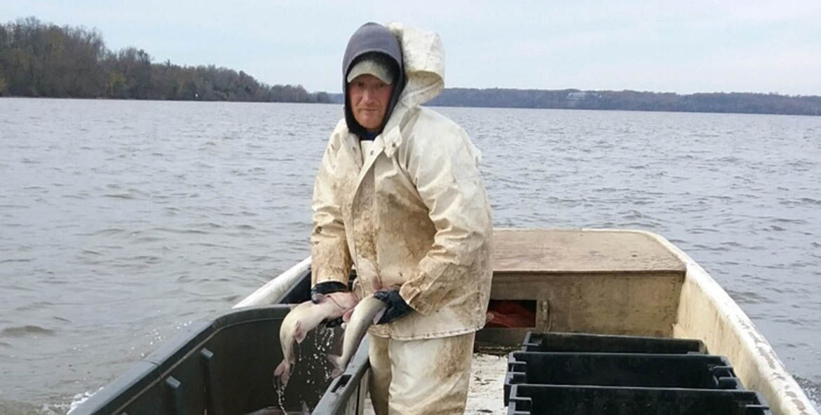 A fisherman sorting blue catfish on his boat.