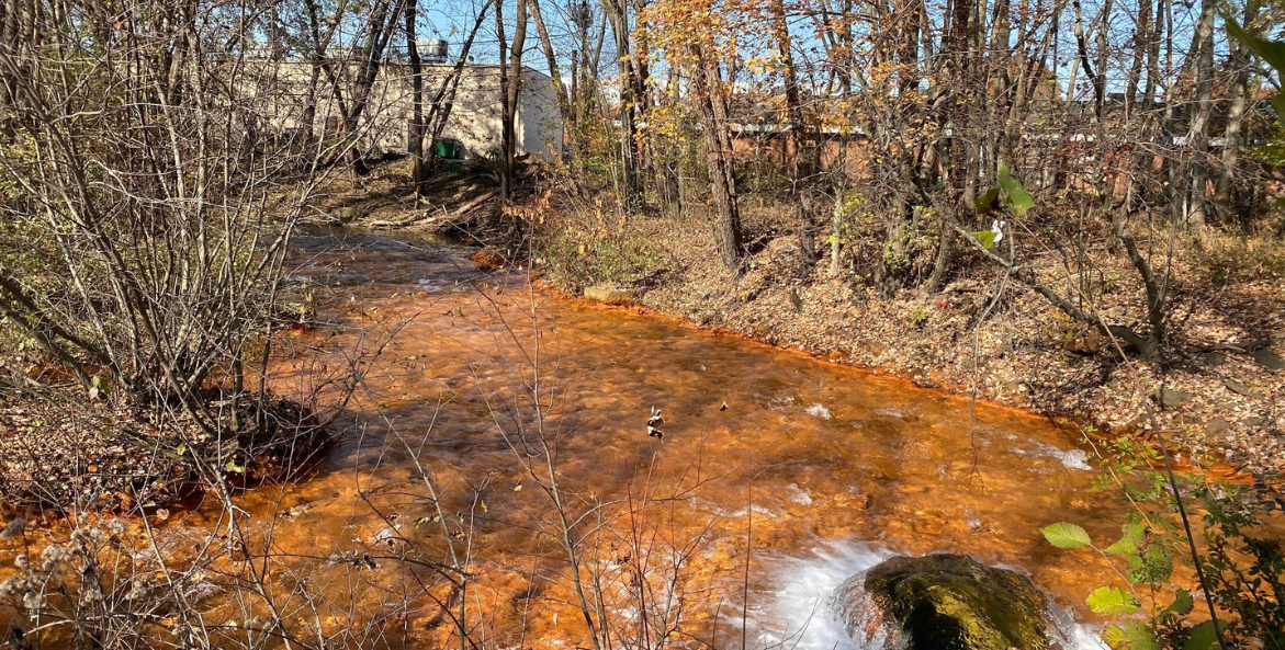 Acid mine drainage flows through a wooded stream. The streambed is stained a rusty orange from the excessive iron deposits in the water.
