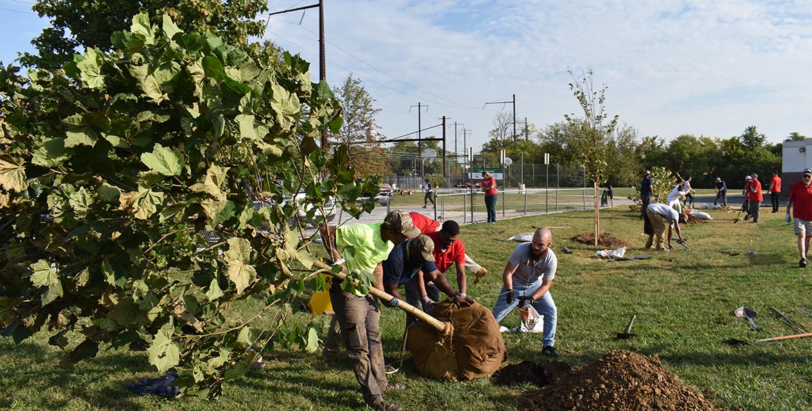 btt-planting-winterling_1171x593