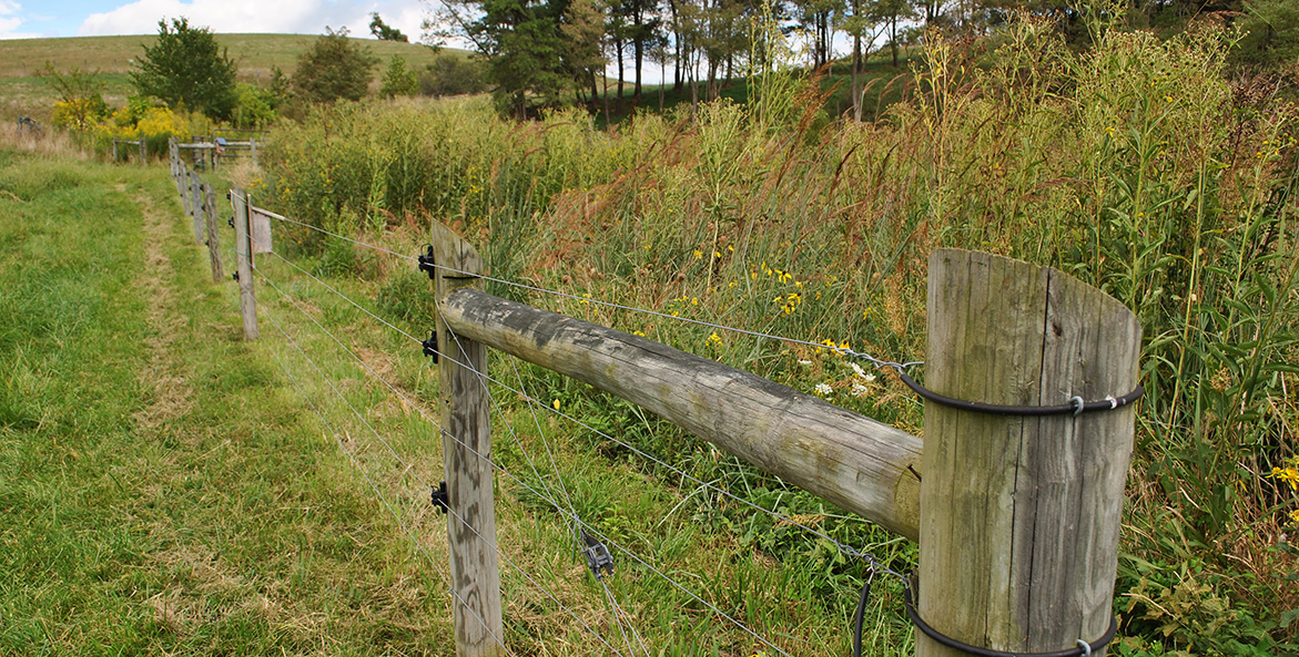 buffer shot at Bobbys Farm by EMR 1171x593