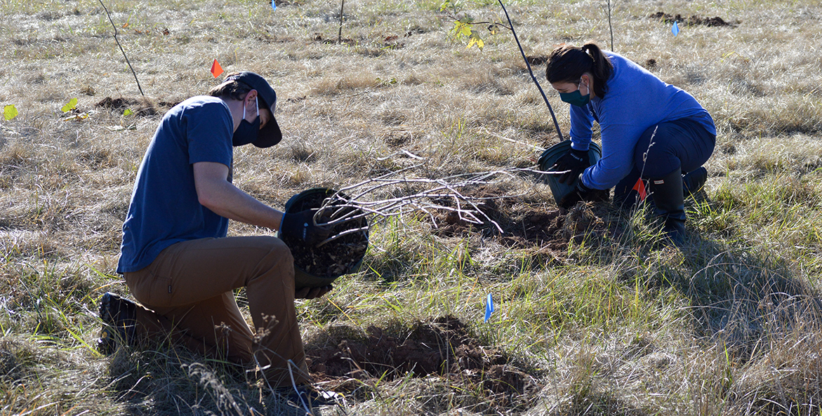 carrol county tree planting md-rebecca long-1171x593