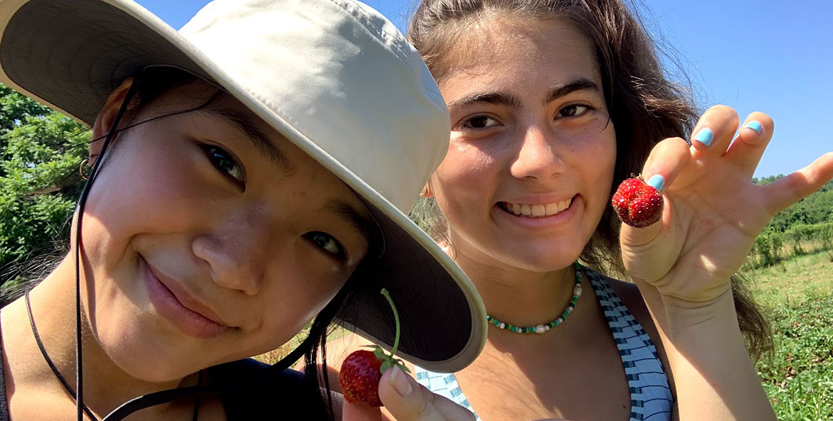 Two girls hold strawberries