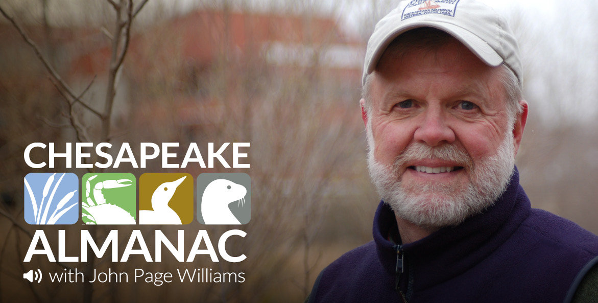 Chesapeake Almanac