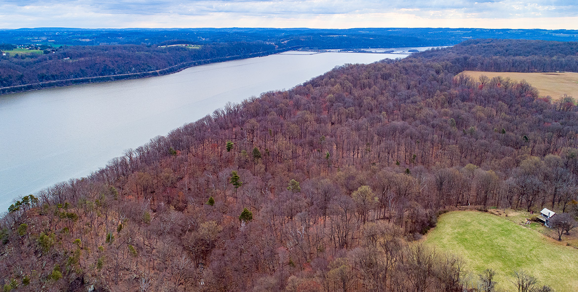 Forests flank both shores of a river.
