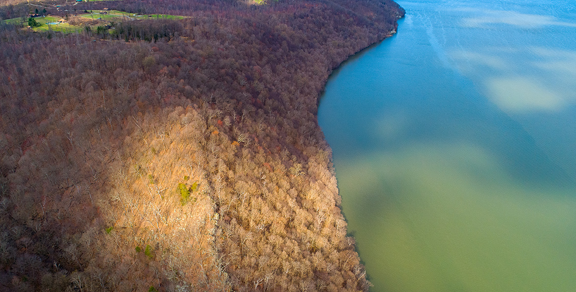 An aerial photo shows a trail through the trees.