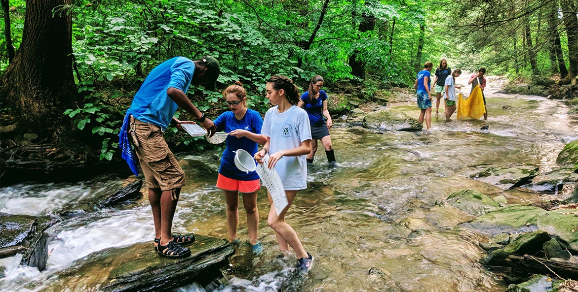 Educators and students examine their findings in a stream.