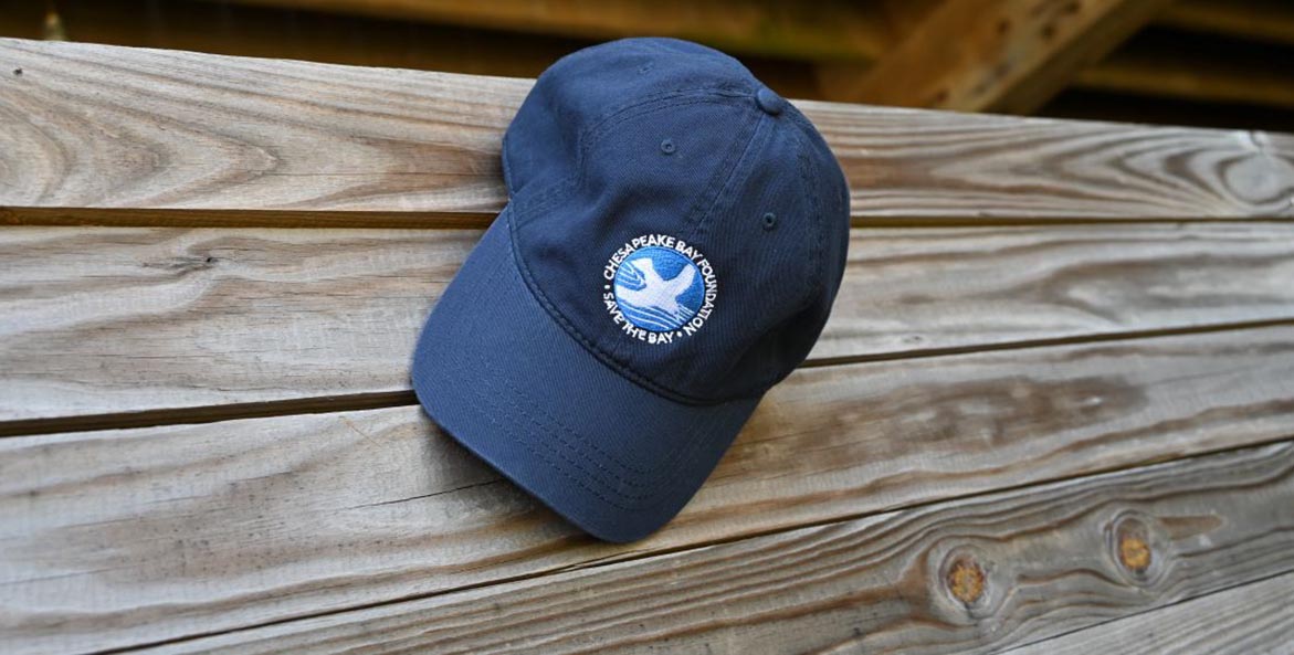 Fall 2023 Store Promo