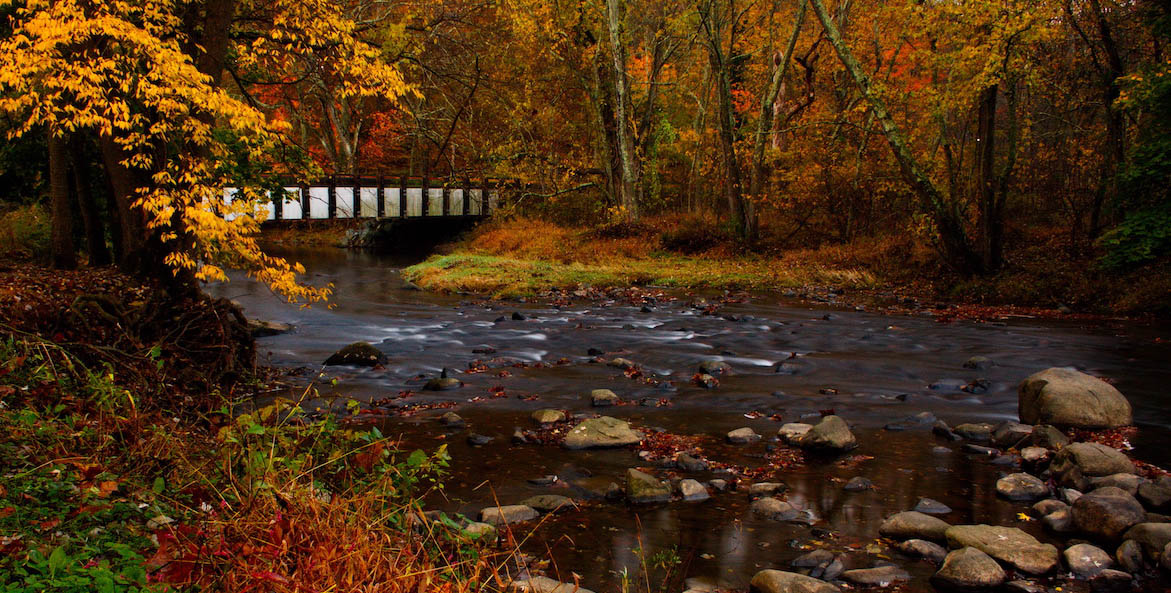 Yellow and orange leaves cover the trees above a small stream and walking bridge.