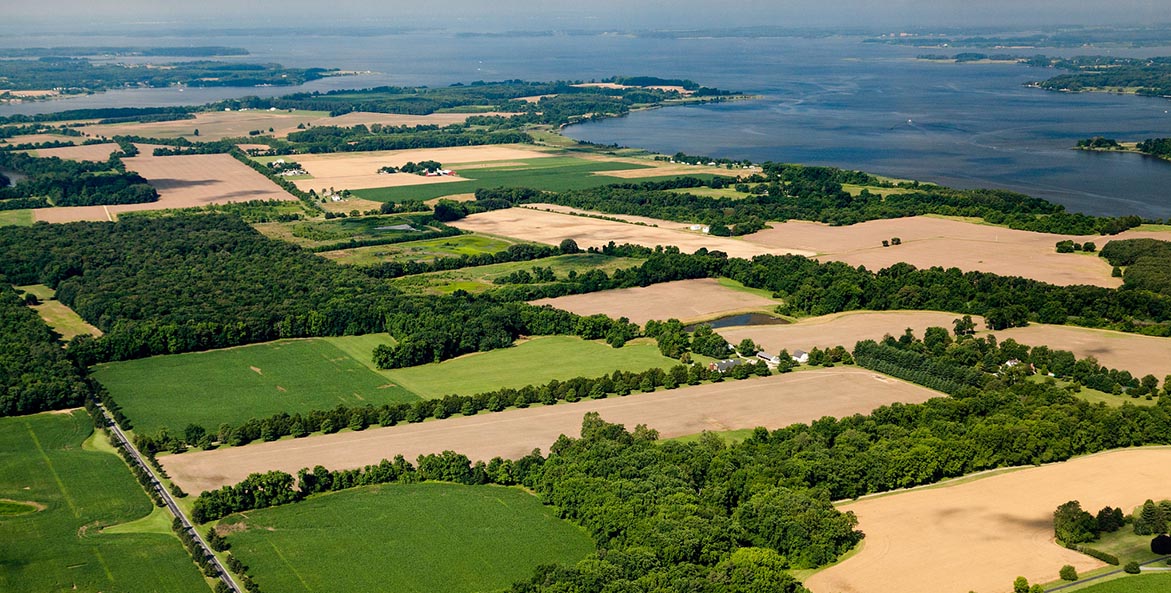 Farmland on the Chester River Will Parson 1171x593