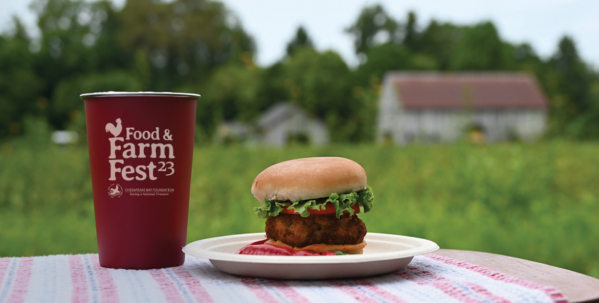 A Food & Farm Fest 23 cup and a hamburger on a plate sit on a table with the farm in the background.