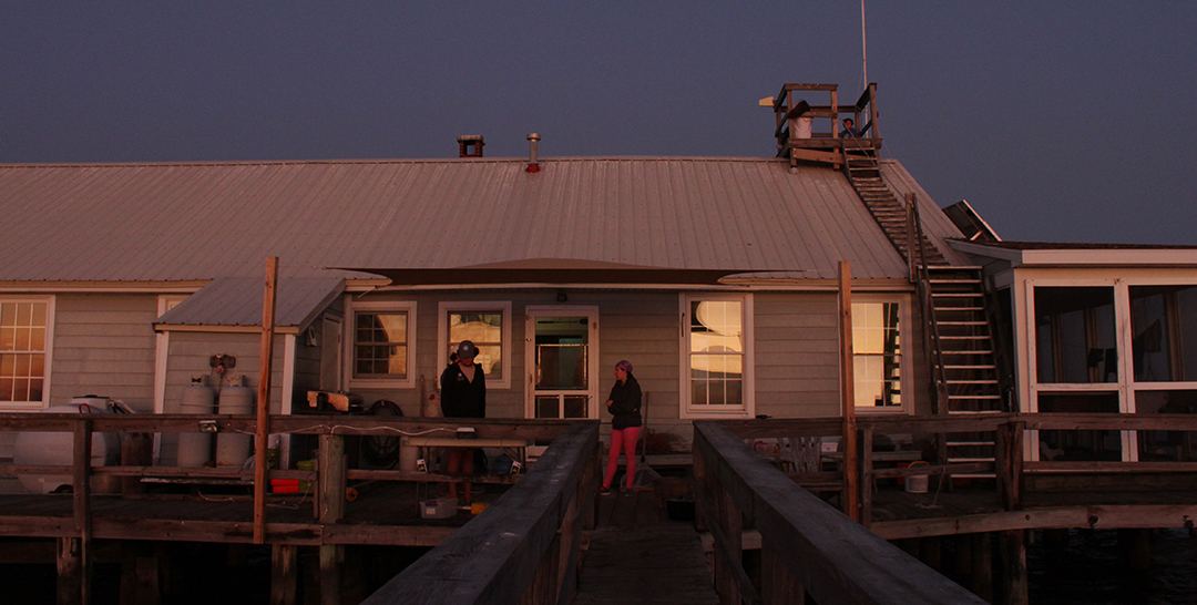 People stand on the docks in front of the Fox Island Environmental Education Center at evening.