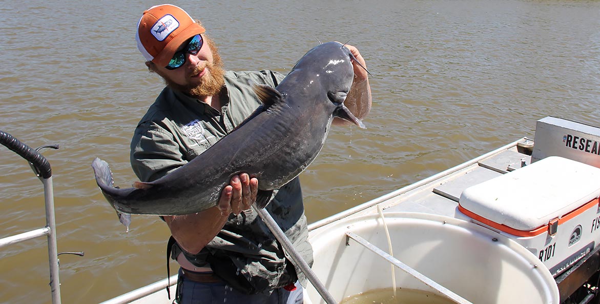 Secrets of the Striper - Chesapeake Bay Foundation