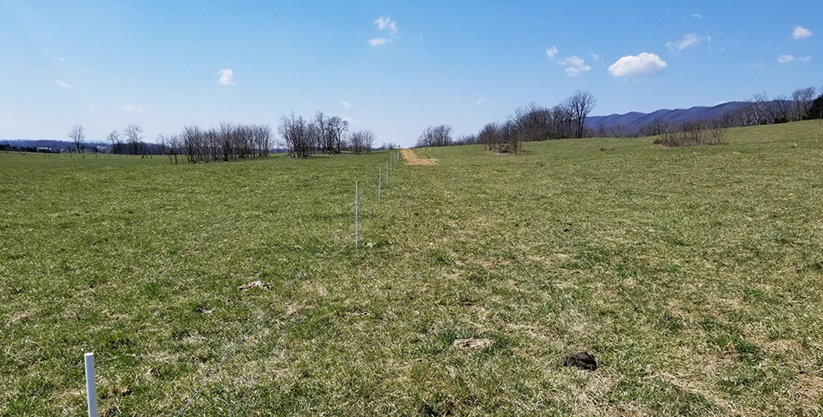 Green farm pasture with fencing, mountains in the background.