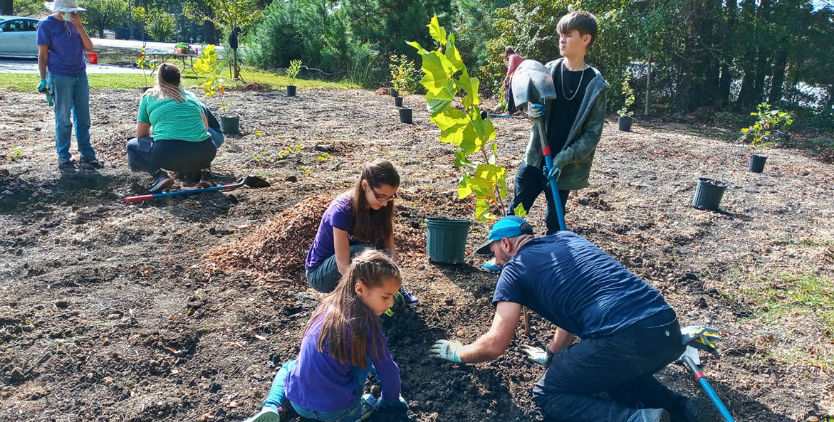 Volunteers plant trees in a prepared field.