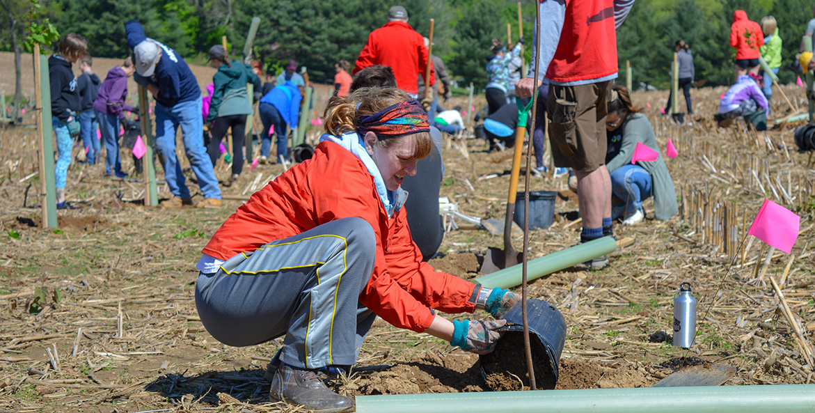 A woman empties dirt from a plastic flower pot around a freshly planted tree, with a crowd of people planting trees behind her.