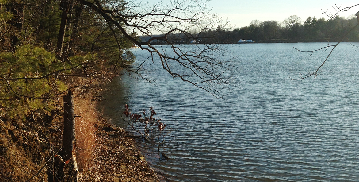 A river in winter lined by trees.