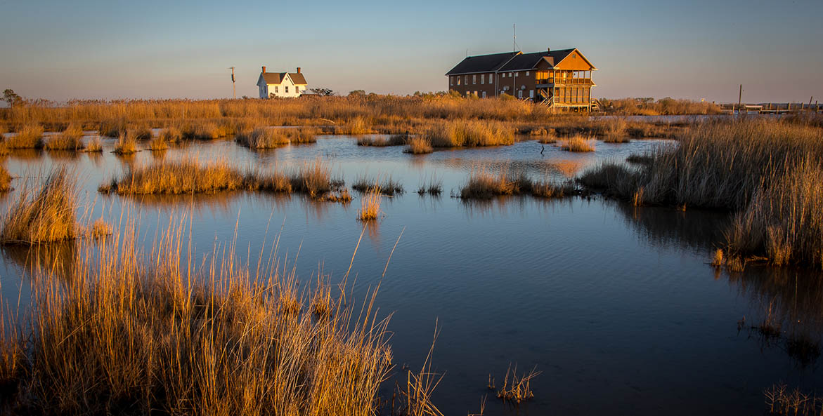 Water creeps up to buildings in a wetland during high tide. The white building in the background has already been overrun by subsidence and sea-level rise.